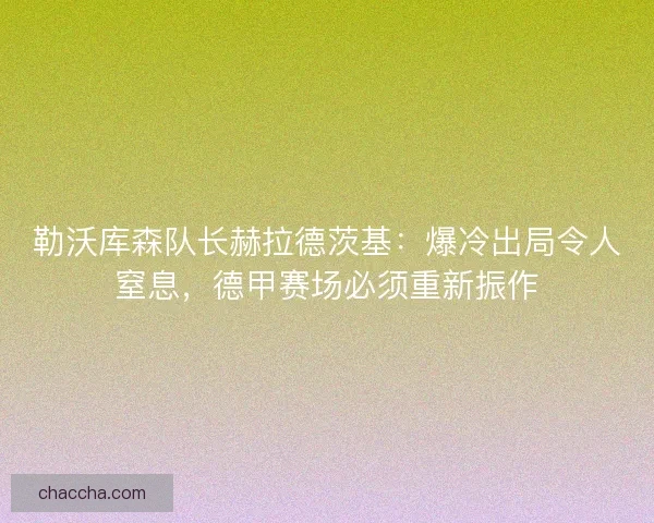 勒沃库森队长赫拉德茨基：爆冷出局令人窒息，德甲赛场必须重新振作